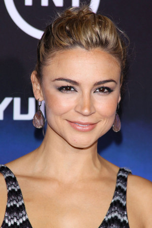 Samaire Armstrong photo