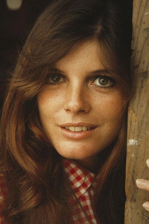 Katharine Ross photo