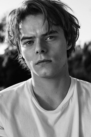 Charlie Heaton photo
