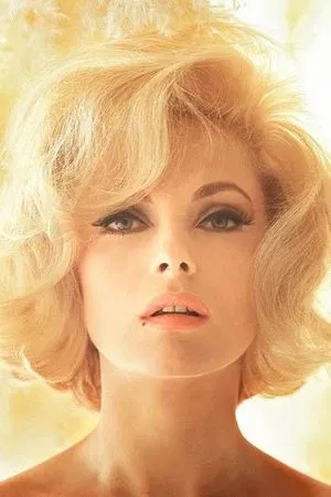 Virna Lisi photo