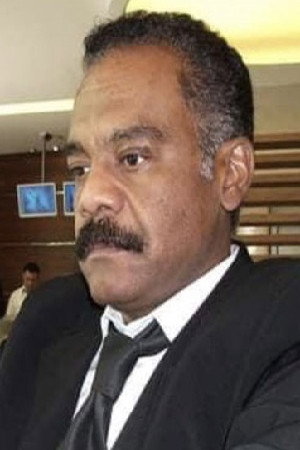 Hamdy El Ramly photo