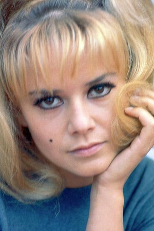 Sophie Daumier photo