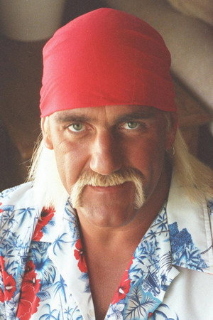 Hulk Hogan photo