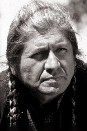 Gordon Tootoosis photo