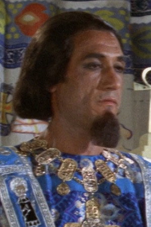 Mohammed Tawfik photo