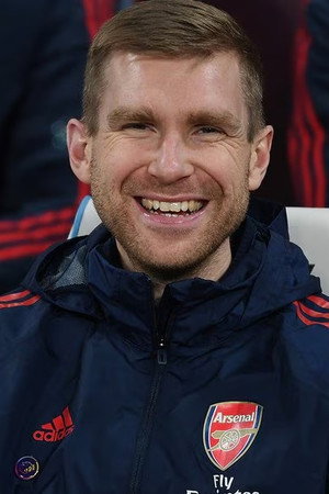 Per Mertesacker photo