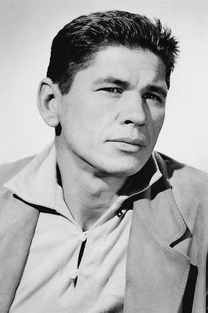 Charles Bronson photo