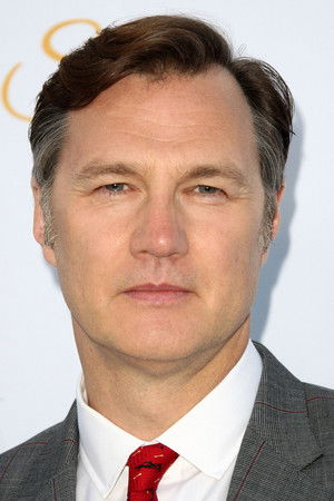 David Morrissey photo