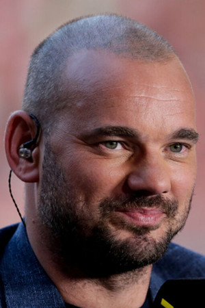 Wesley Sneijder photo