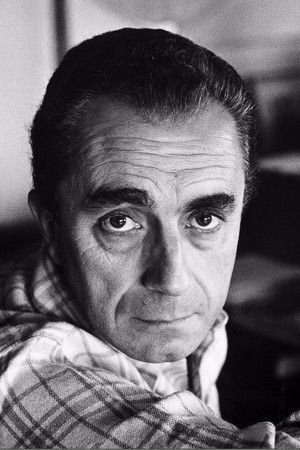 Michelangelo Antonioni photo