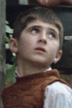 Photo of Babek Ahmadpour from the Latest Netflix gallery