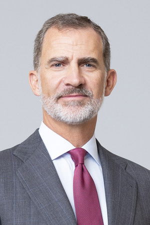 Felipe VI photo