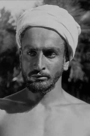 Photo of Siko Palavandishvili from the Latest Netflix gallery