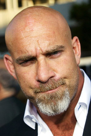 Bill Goldberg photo