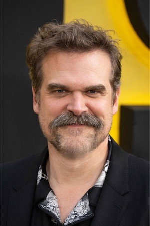 David Harbour photo