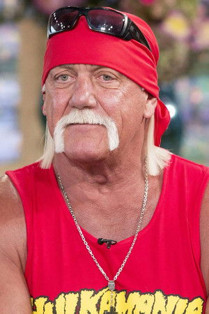 Hulk Hogan photo