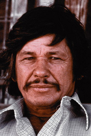 Charles Bronson photo