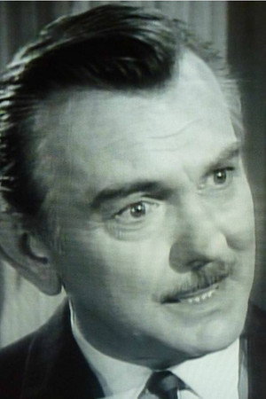 Francis De Sales photo