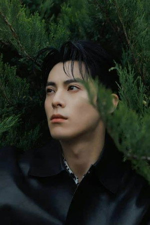Dylan Wang photo