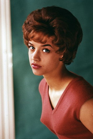 Photo of Lill-Babs from the Latest Netflix gallery