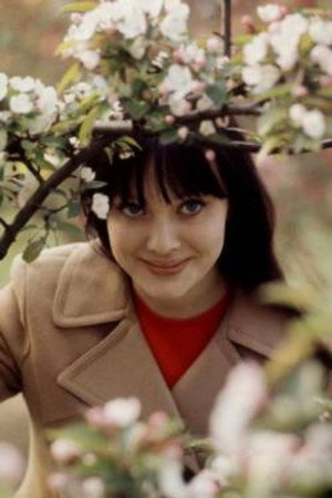 Ludmila Savelyeva photo