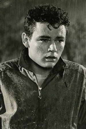Photo of Rod Lauren from the Latest Netflix gallery