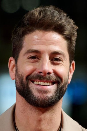 Luis Fernández photo