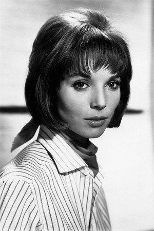 Photo of Elsa Martinelli from the Latest Netflix gallery
