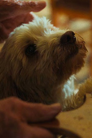 Photo of Birba from the Latest Netflix gallery