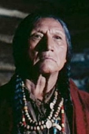 Photo of Chief John Big Tree from the Latest Netflix gallery