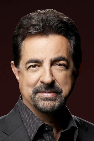 Joe Mantegna photo