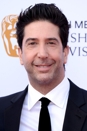 David Schwimmer photo