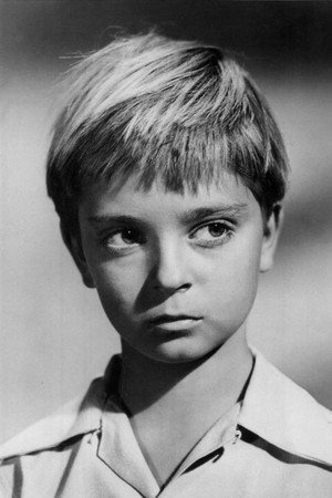 Photo of Tommy Rettig from the Latest Netflix gallery