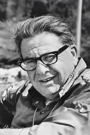 Martin Ritt photo