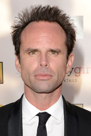 Walton Goggins photo