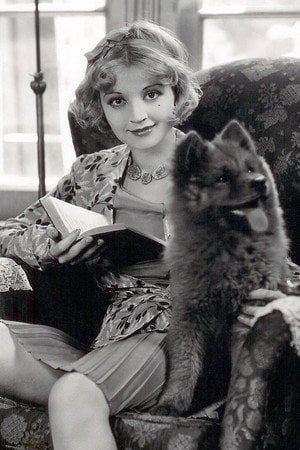 Photo of Alice White from the Latest Netflix gallery