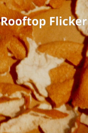 Movie poster for Rooftop Flicker (2022)