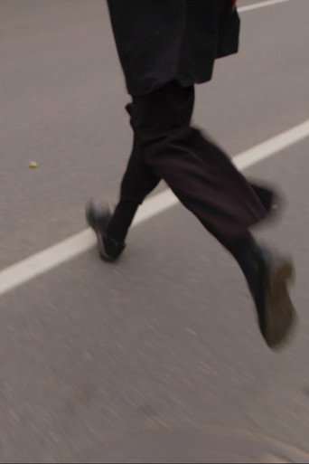 Movie poster for Crosswalk That Wasn't There (2023)