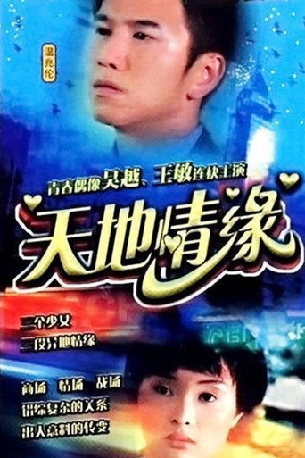 天地情缘 poster