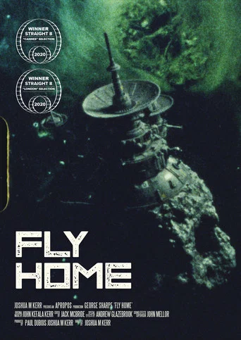 Movie poster for Fly Home (2021)