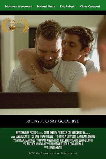 Movie poster for 30 Days to Say Goodbye (2017)