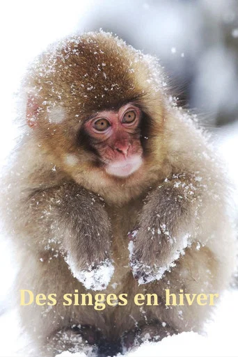 Movie poster for Japans Schneeaffen Hautnah (2025)