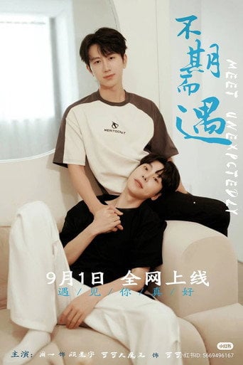 Series poster for Meet Unexpectedly (2024)