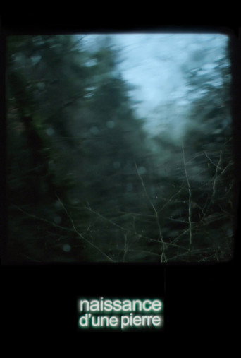 Movie poster for Once There Was a Storm (2024)
