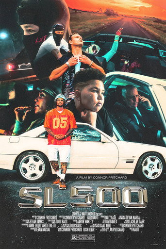 Movie poster for SL500 (2024)