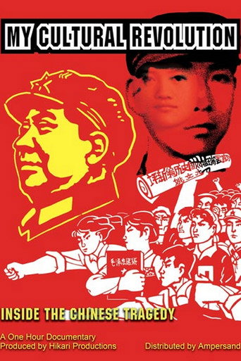 Movie poster for Ma révolution culturelle (2014)