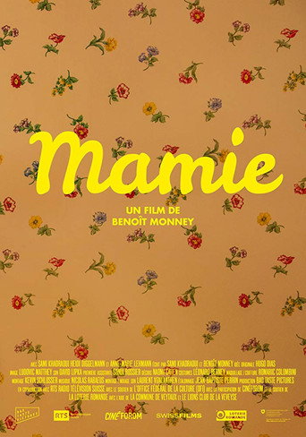 Movie poster for Mamie