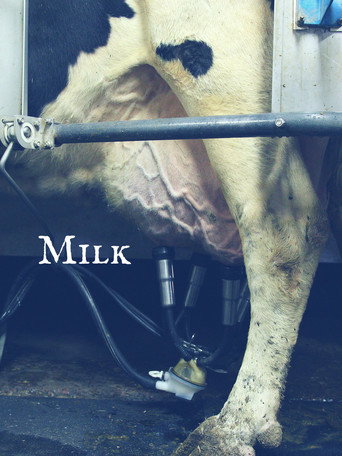 Movie poster for Milk (2017)
