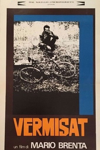 Vermisat poster