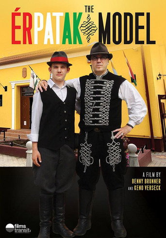 Movie poster for The Érpatak Model (2015)